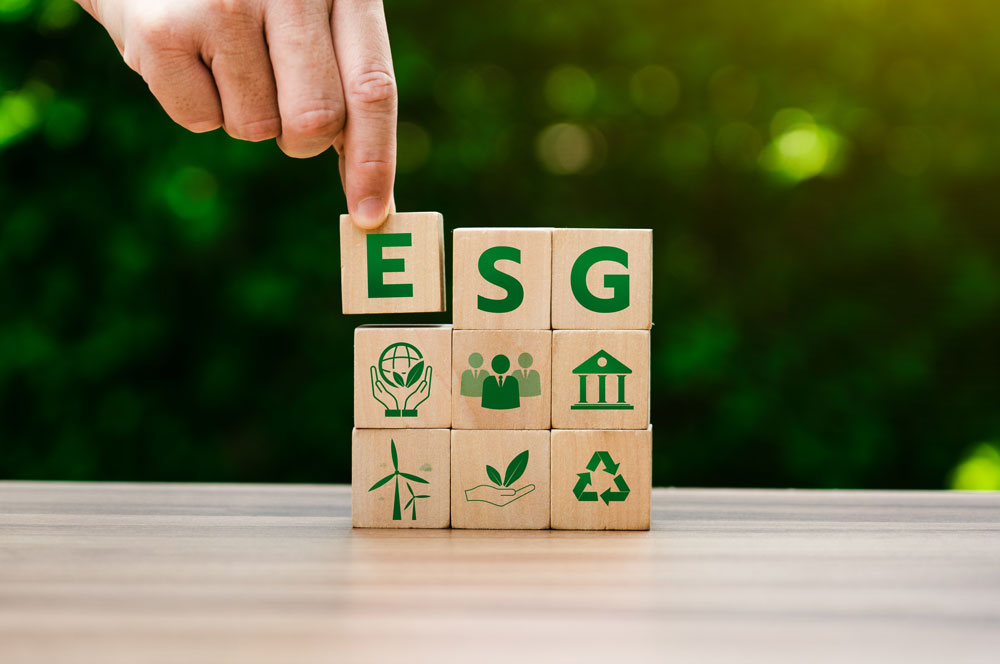 Sostenibilità aziendale e principi di rendicontazione ESG: quadro introduttivo